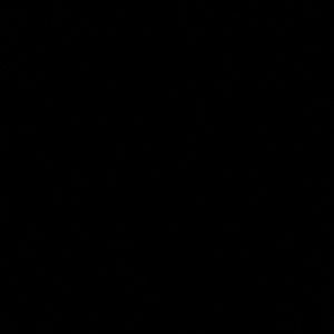 Meet your Posher, Aja